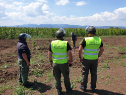  Quality Control on a UXO Risk Reduction Project 