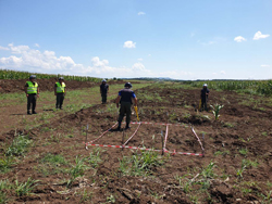  Quality Control on a UXO Risk Reduction Project 