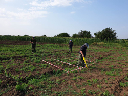  Quality Control on a UXO Risk Reduction Project 