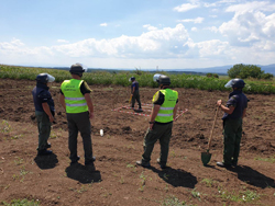  Quality Control on a UXO Risk Reduction Project 