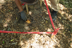  Destruction of mines found on  demining project of the part of transmission line route in Bujanovac 