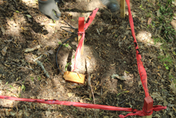  Destruction of mines found on  demining project of the part of transmission line route in Bujanovac 