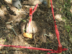  Destruction of mines found on  demining project of the part of transmission line route in Bujanovac 