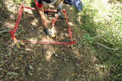  Destruction of mines found on  demining project of the part of transmission line route in Bujanovac 