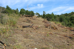  Completion of Demining Project of the part of transmission line route in Bujanovac 