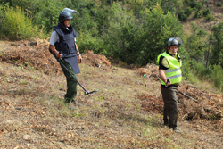  Completion of Demining Project of the part of transmission line route in Bujanovac 