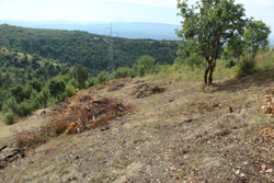  Completion of Demining Project of the part of transmission line route in Bujanovac 