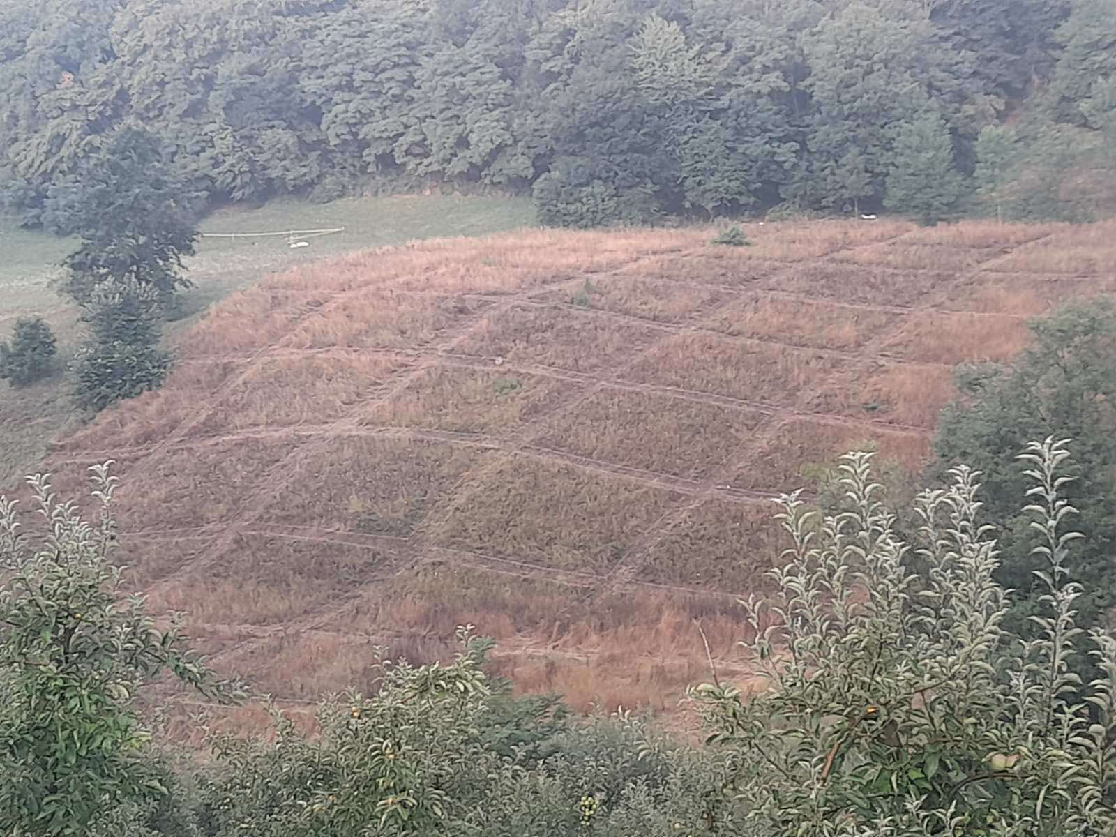 ZAVRŠNA KONTROLA KVALITETA NA PROJEKTU „SLOBODA ČAČAK 6“