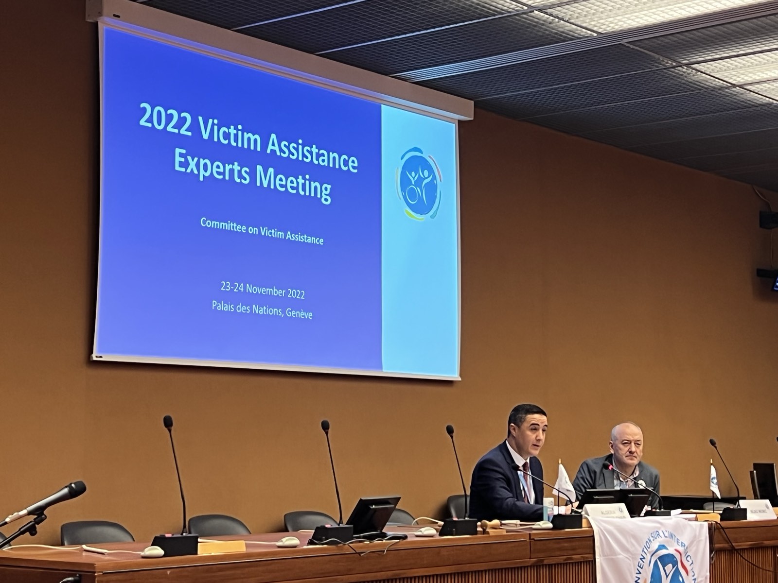 VA Experts Meeting 2022 held on margins of 20th MSP in Geneva