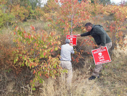    Marking of Mine Suspected Area in Bujanovac Municipality  