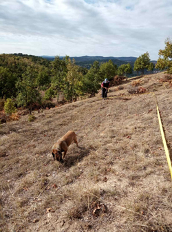   Quality control on Turijska Brda project   