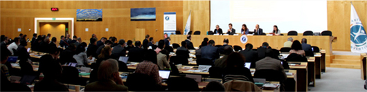  Intersessional Meeting of the States Parties to the Ottawa Convention Held in Geneva 