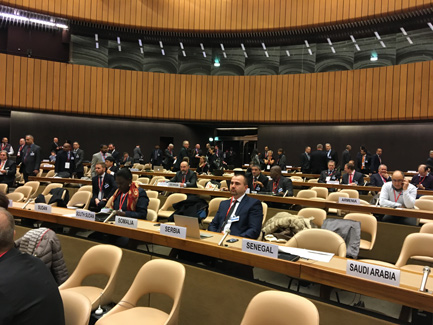 19th International Meeting of Mine Action National Programme Directors and United Nations Advisors Held in Geneva